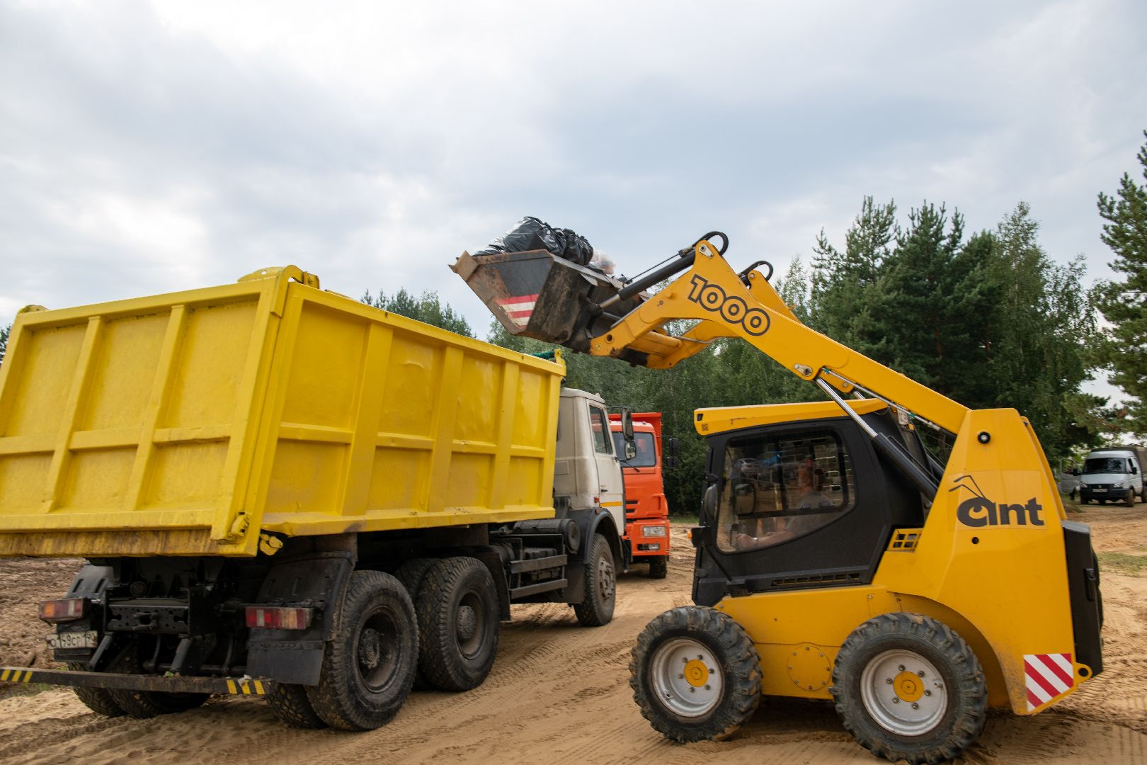 лыткарино, уборка, волкуша, лес, карьер