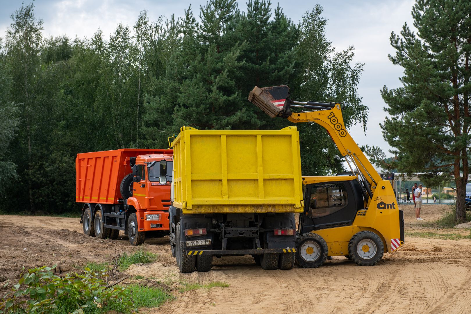 лыткарино, уборка, волкуша, лес, карьер