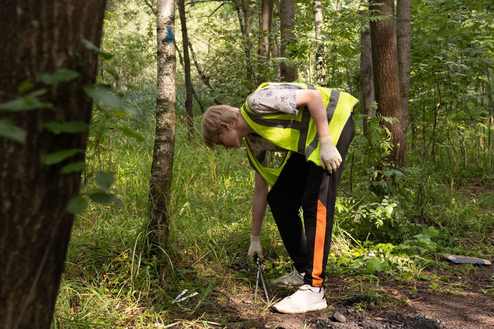 лыткарино, уборка, волкуша, лес, карьер