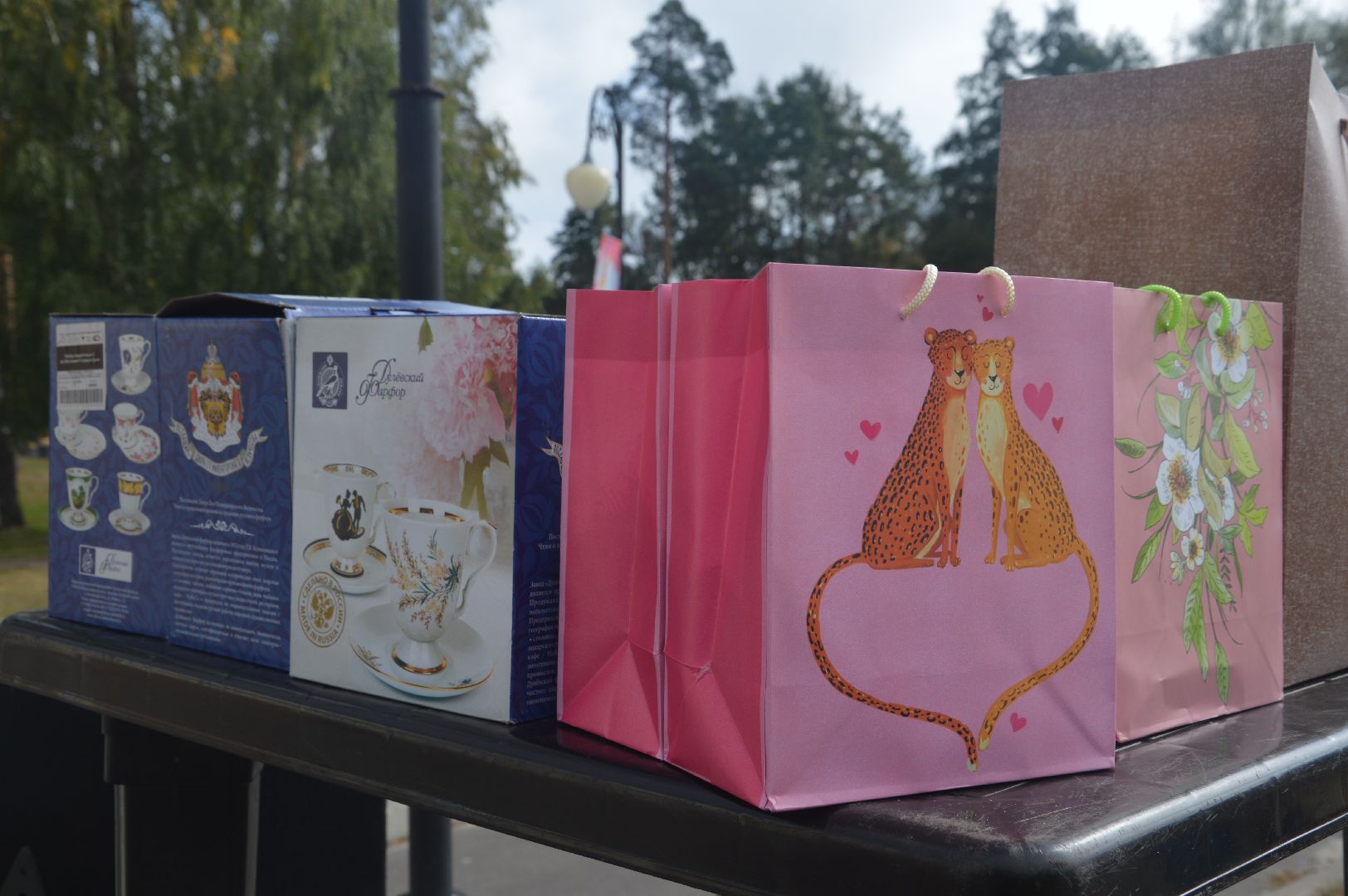 Шатура, северная ходьба, осень, осенний марафон, активное долголетие