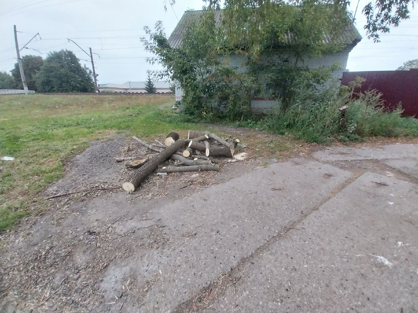 Коломна, благоустройство, упавшие деревья