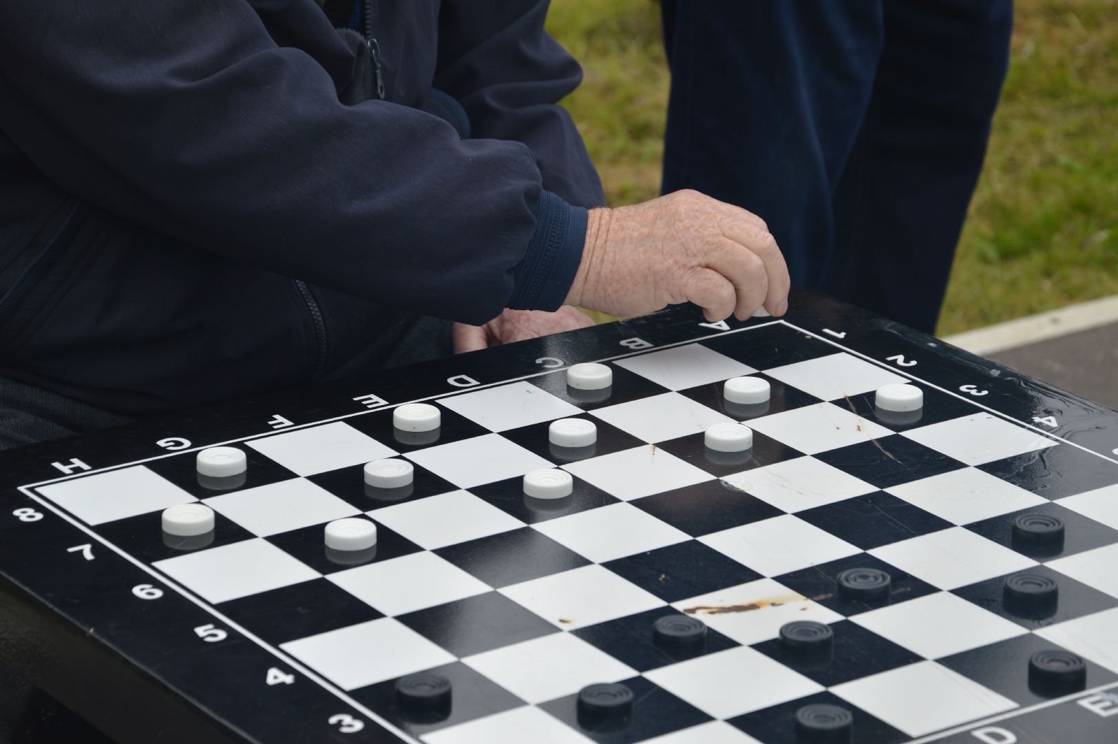 Шатура, парк, Шахматы, шашки, турнир