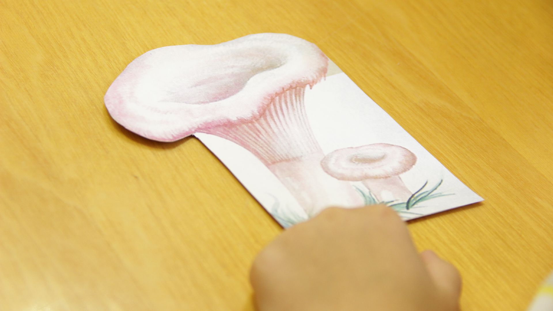 Берегите Лес, Рошальская Библиотека, Рошаль, День Работника Леса