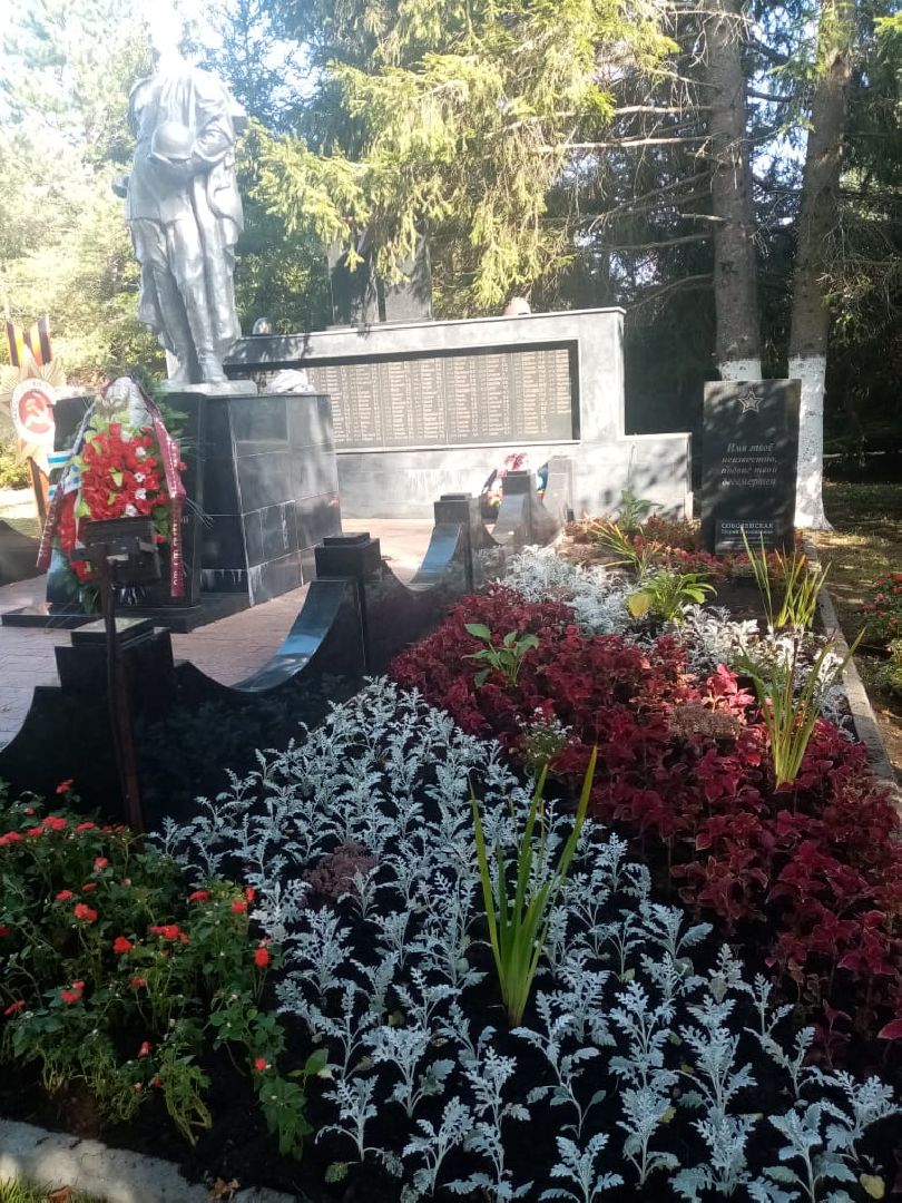 клумбы, цветники,