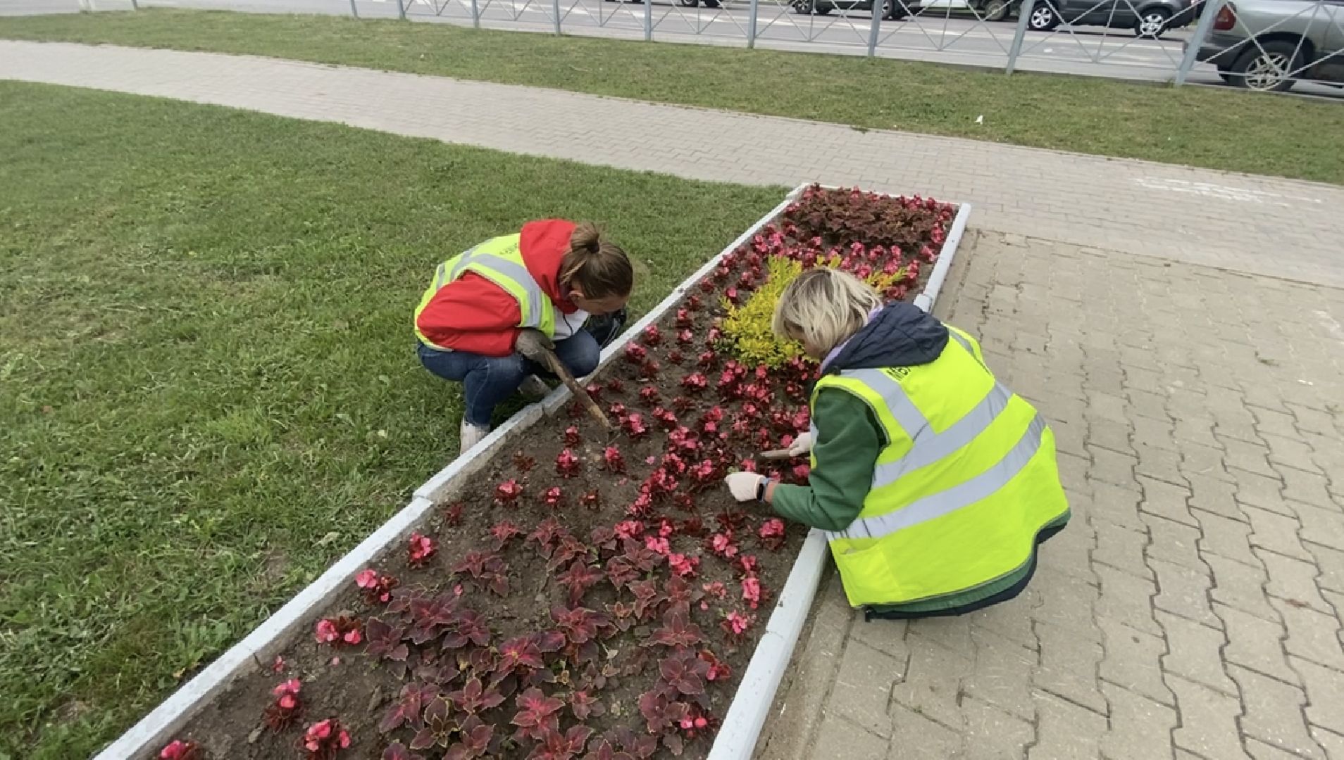 клумбы, цветники,