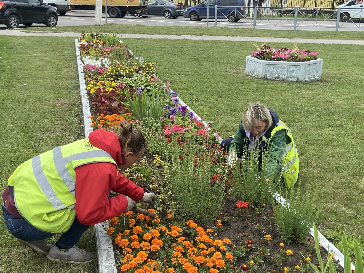 клумбы, цветники,