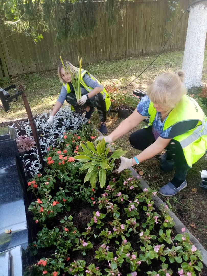 клумбы, цветники,