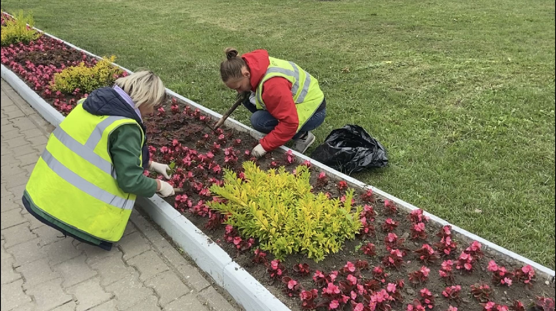 клумбы, цветники,