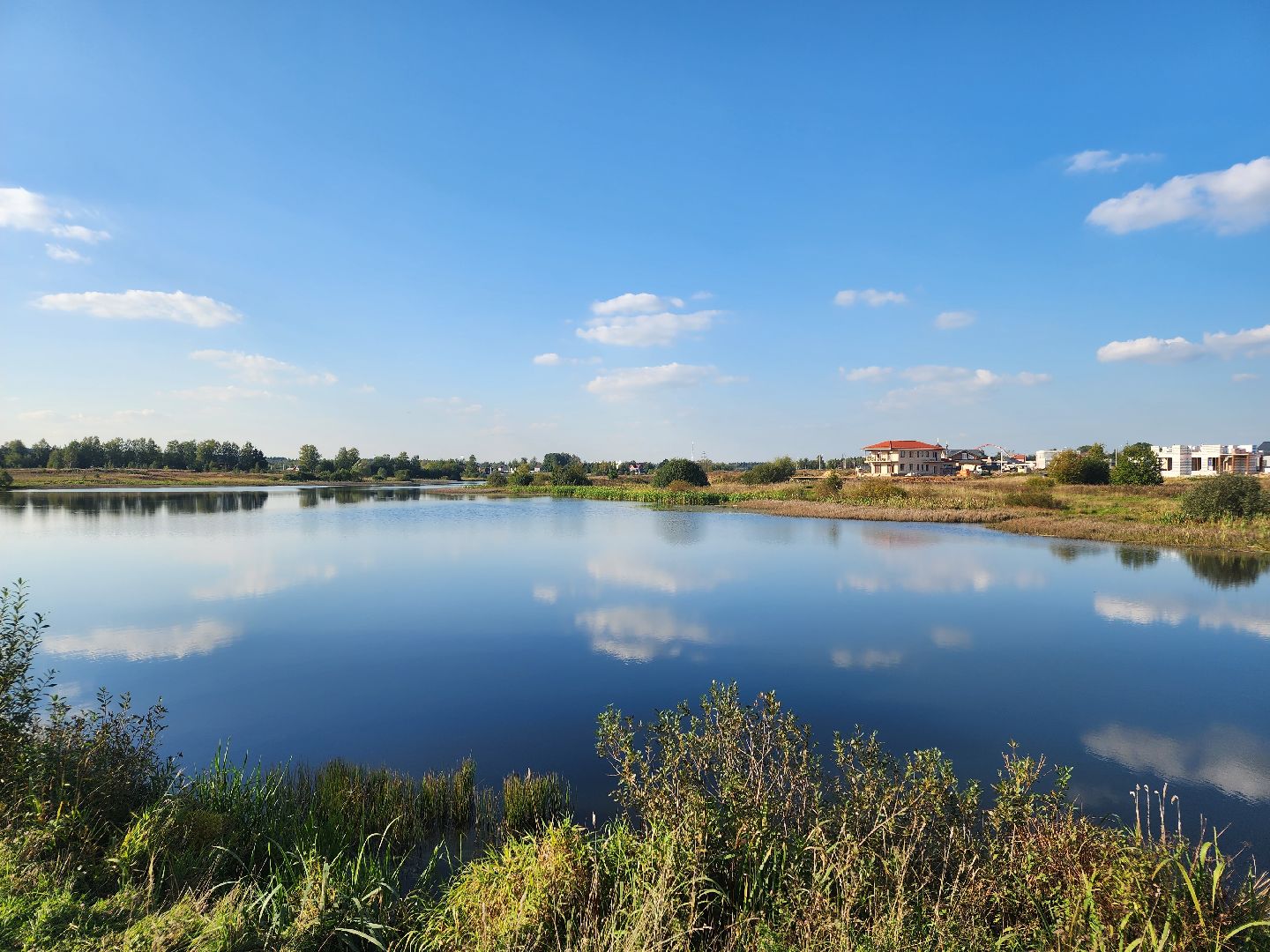 Нефедьево, Красногорск, Нахабино, Чомга, птицы, экология