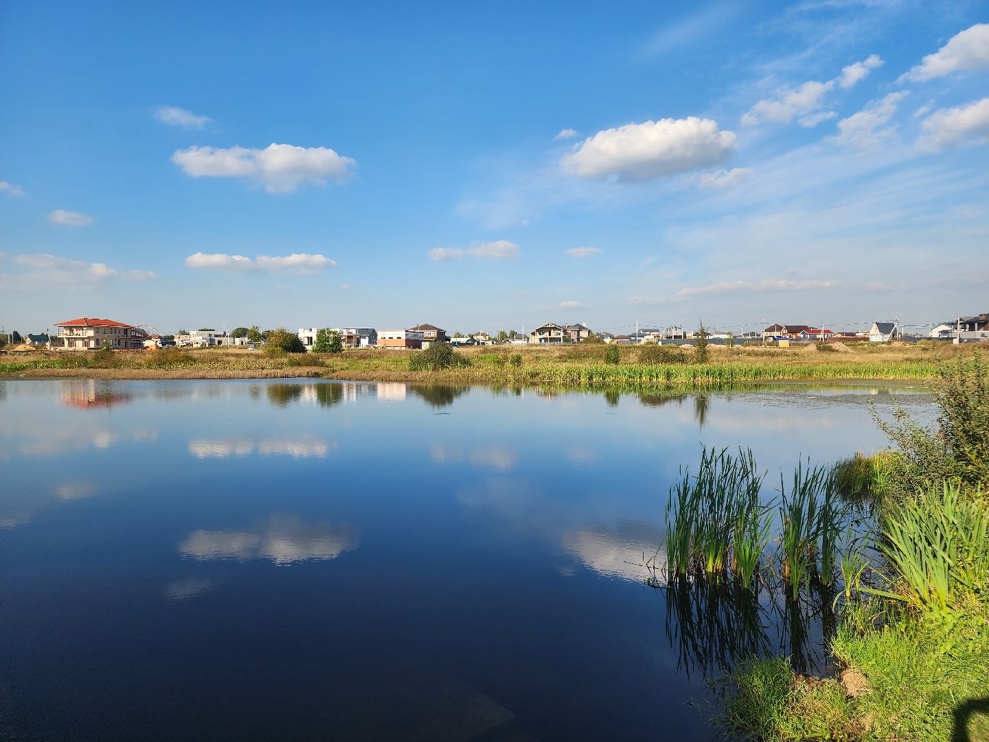 Нефедьево, Красногорск, Нахабино, Чомга, птицы, экология