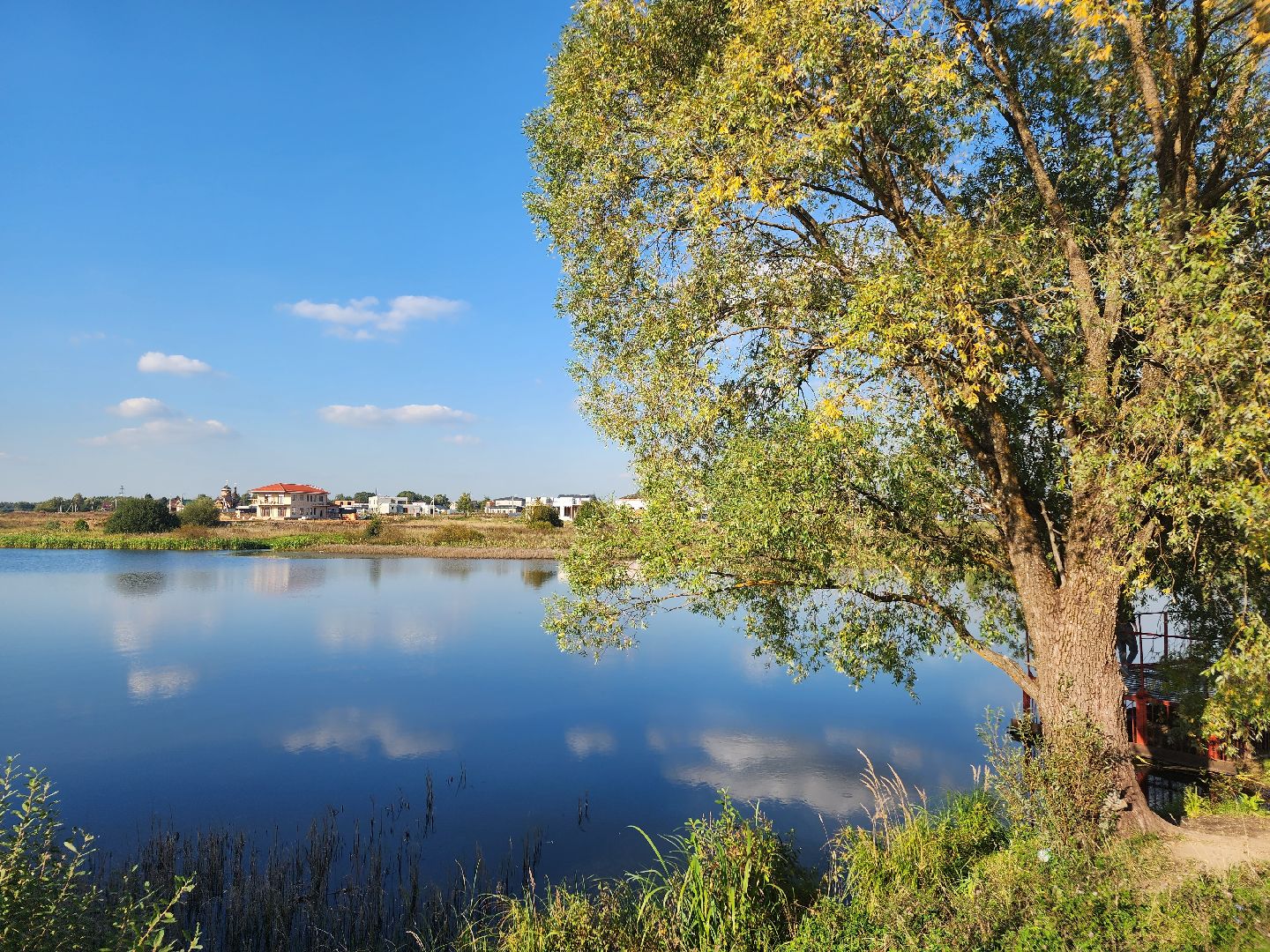 Нефедьево, Красногорск, Нахабино, Чомга, птицы, экология