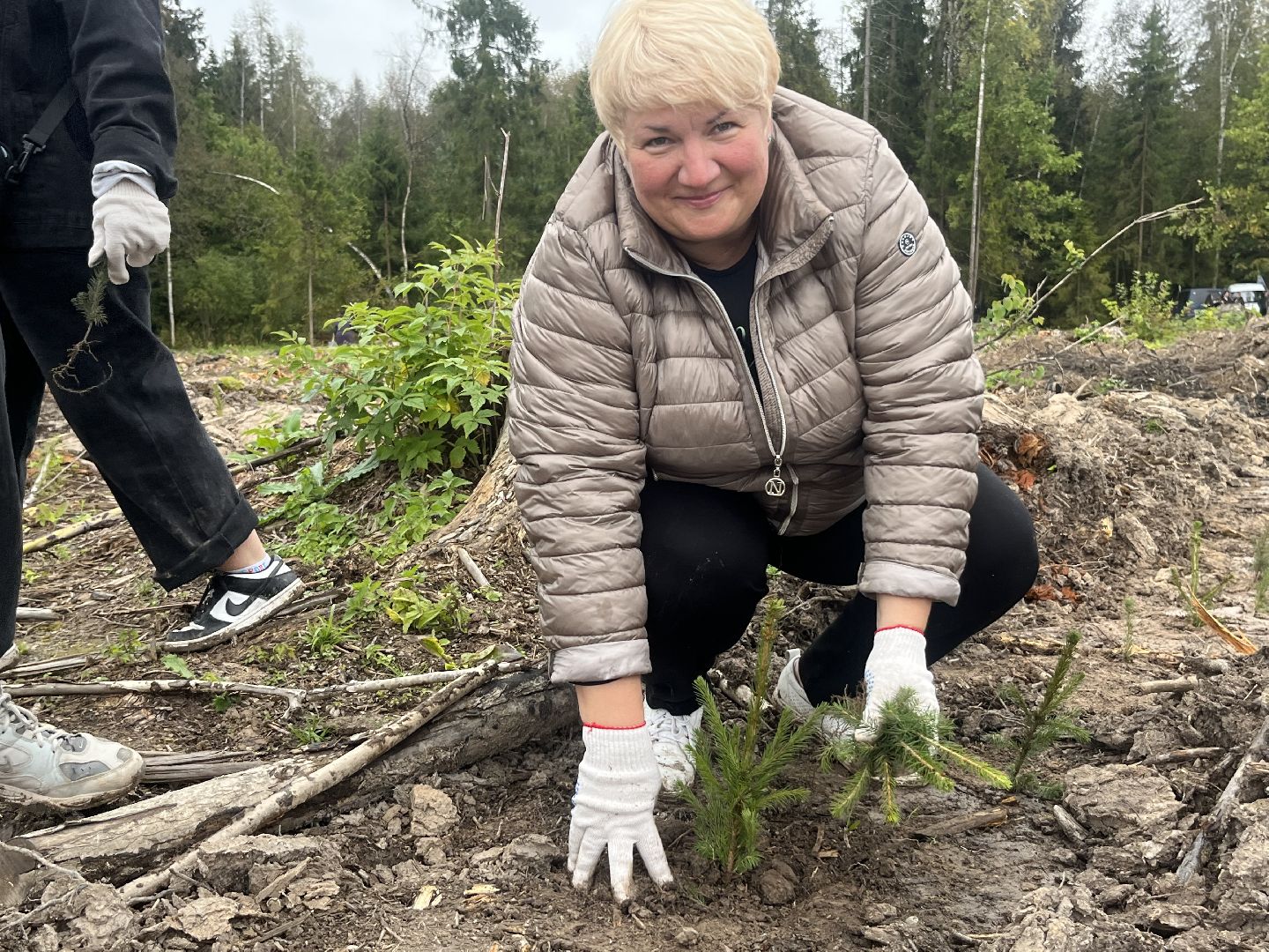 наш лес, наро-фоминск, экология, посади дерево, ёлка,верея,