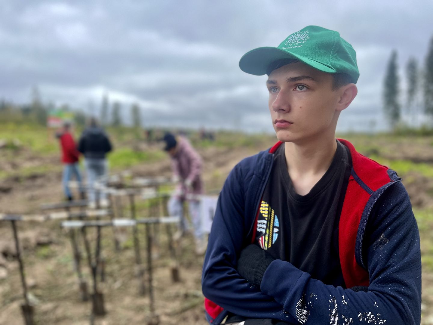 наш лес, наро-фоминск, экология, посади дерево, ёлка,верея,