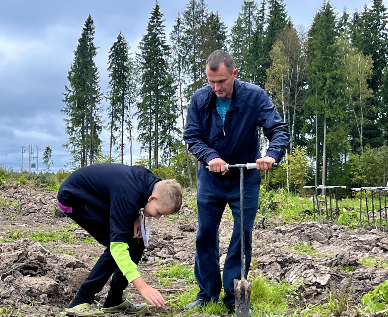 наш лес, наро-фоминск, экология, посади дерево, ёлка,верея,