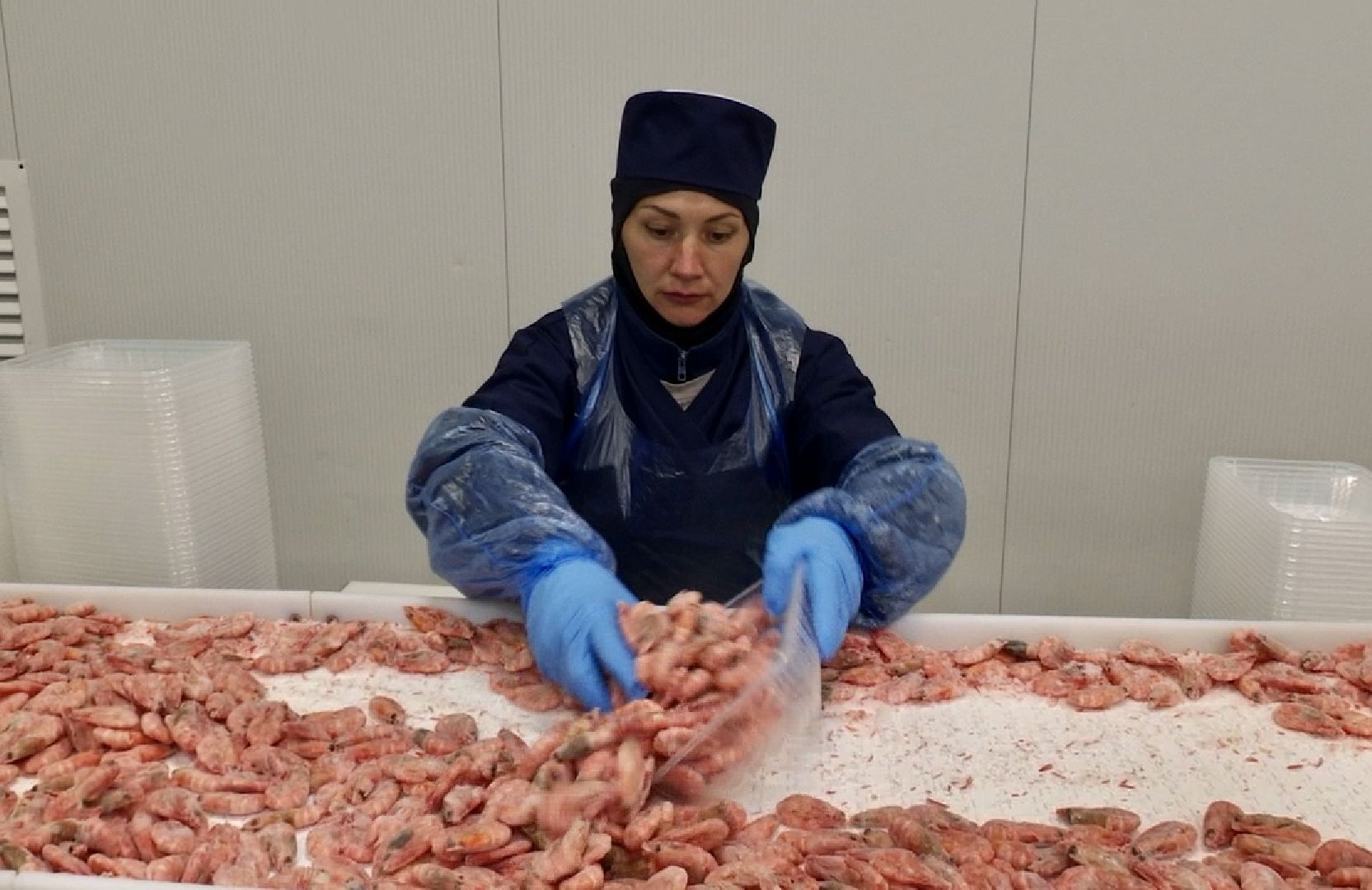 Клин, общество, экономика, бизнес