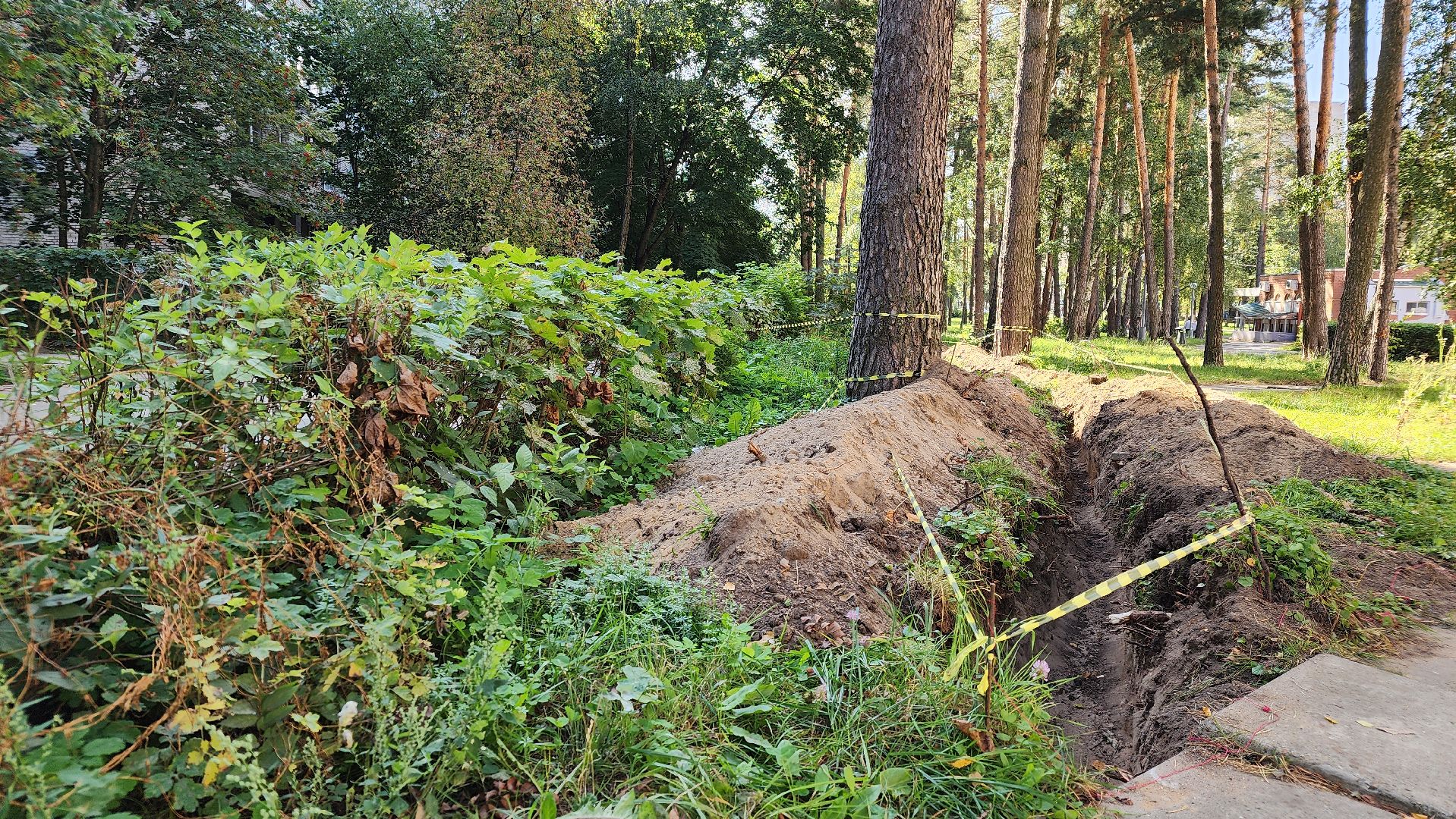 светлый город, областная программа, освещение, благоустройство, Протвино