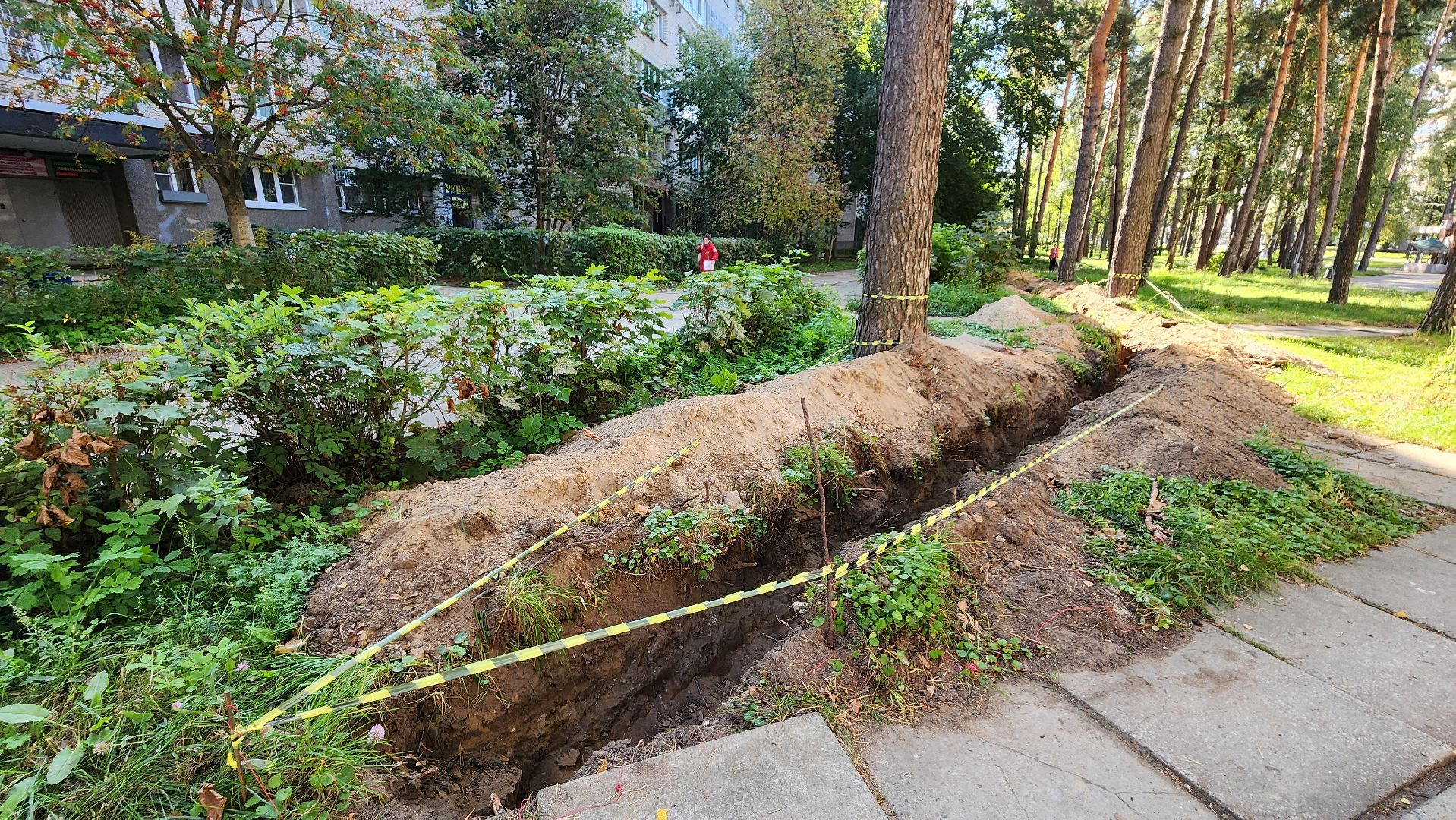 светлый город, областная программа, освещение, благоустройство, Протвино