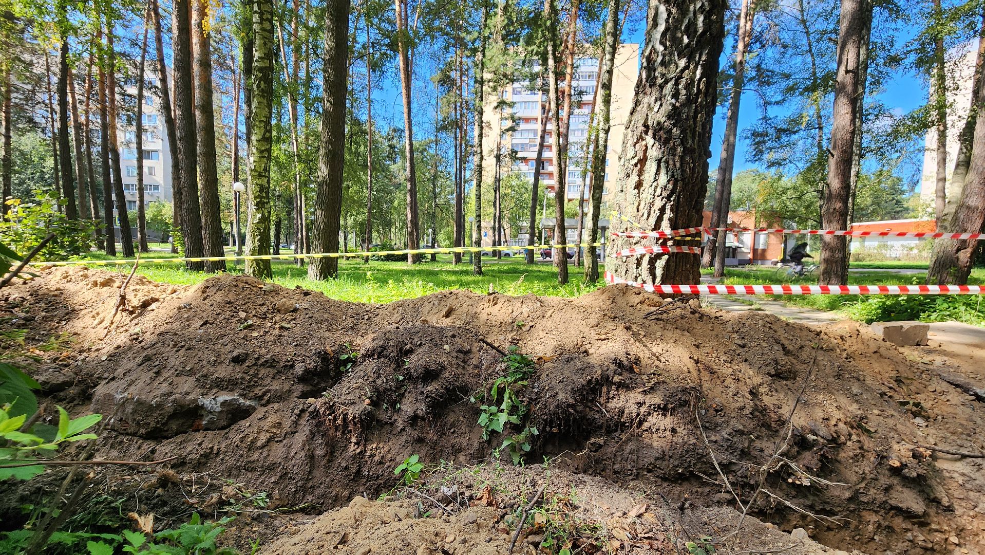 светлый город, областная программа, освещение, благоустройство, Протвино