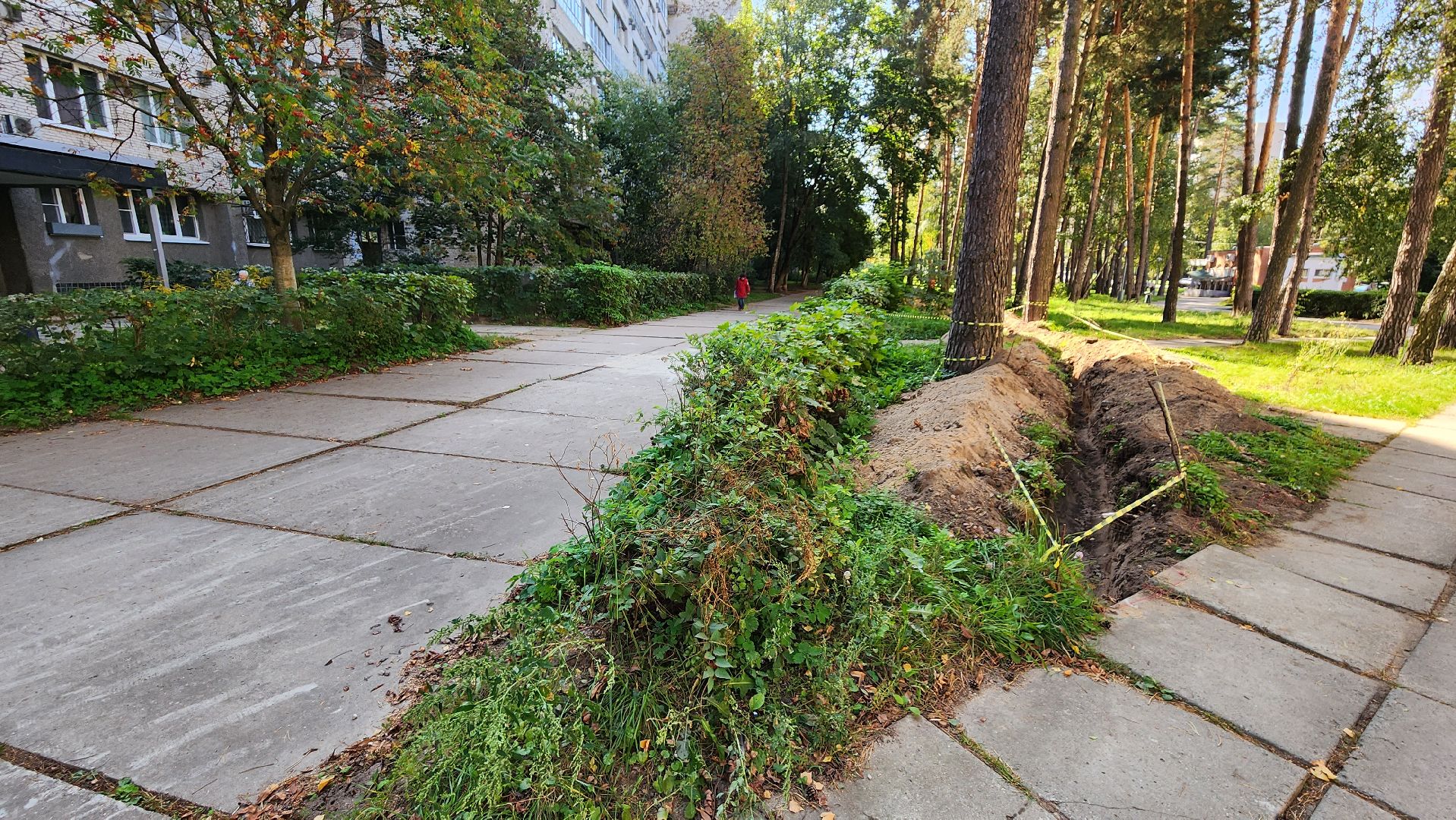 светлый город, областная программа, освещение, благоустройство, Протвино