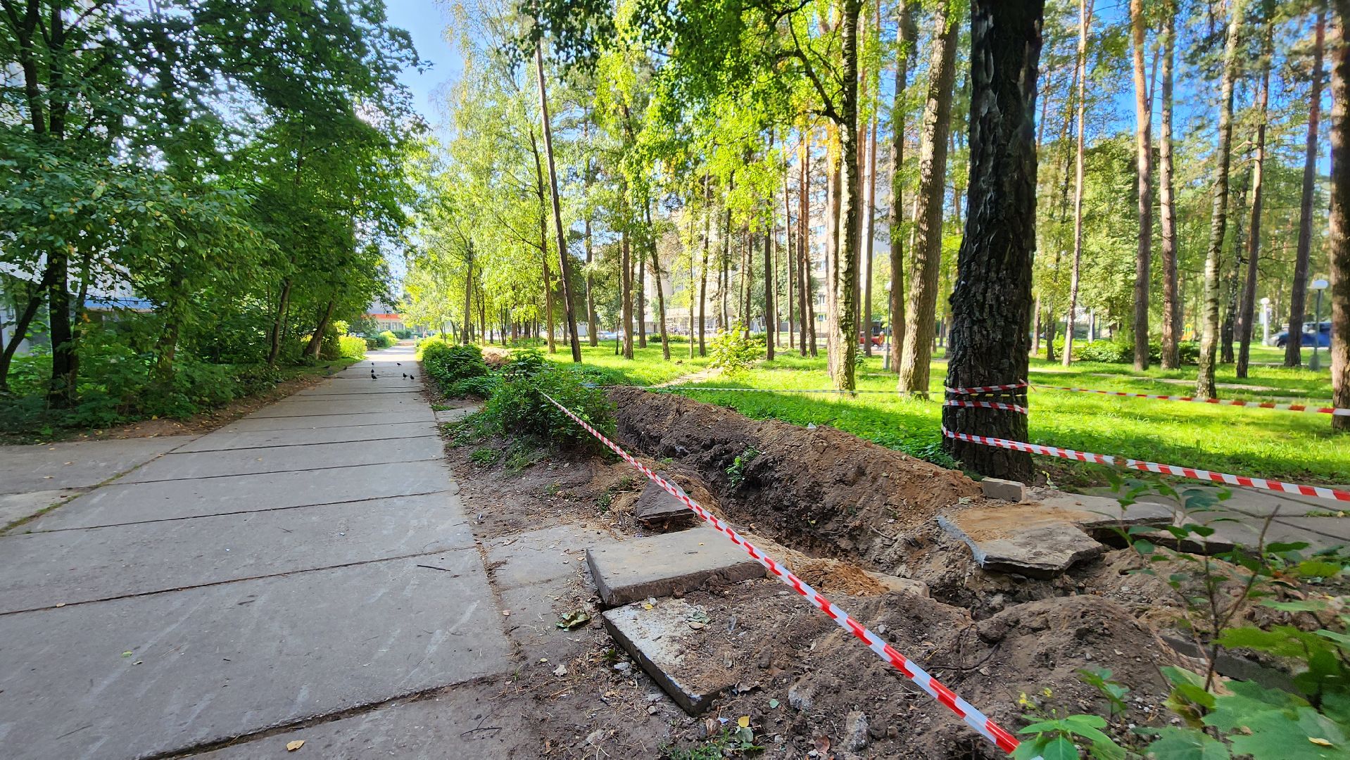 светлый город, областная программа, освещение, благоустройство, Протвино