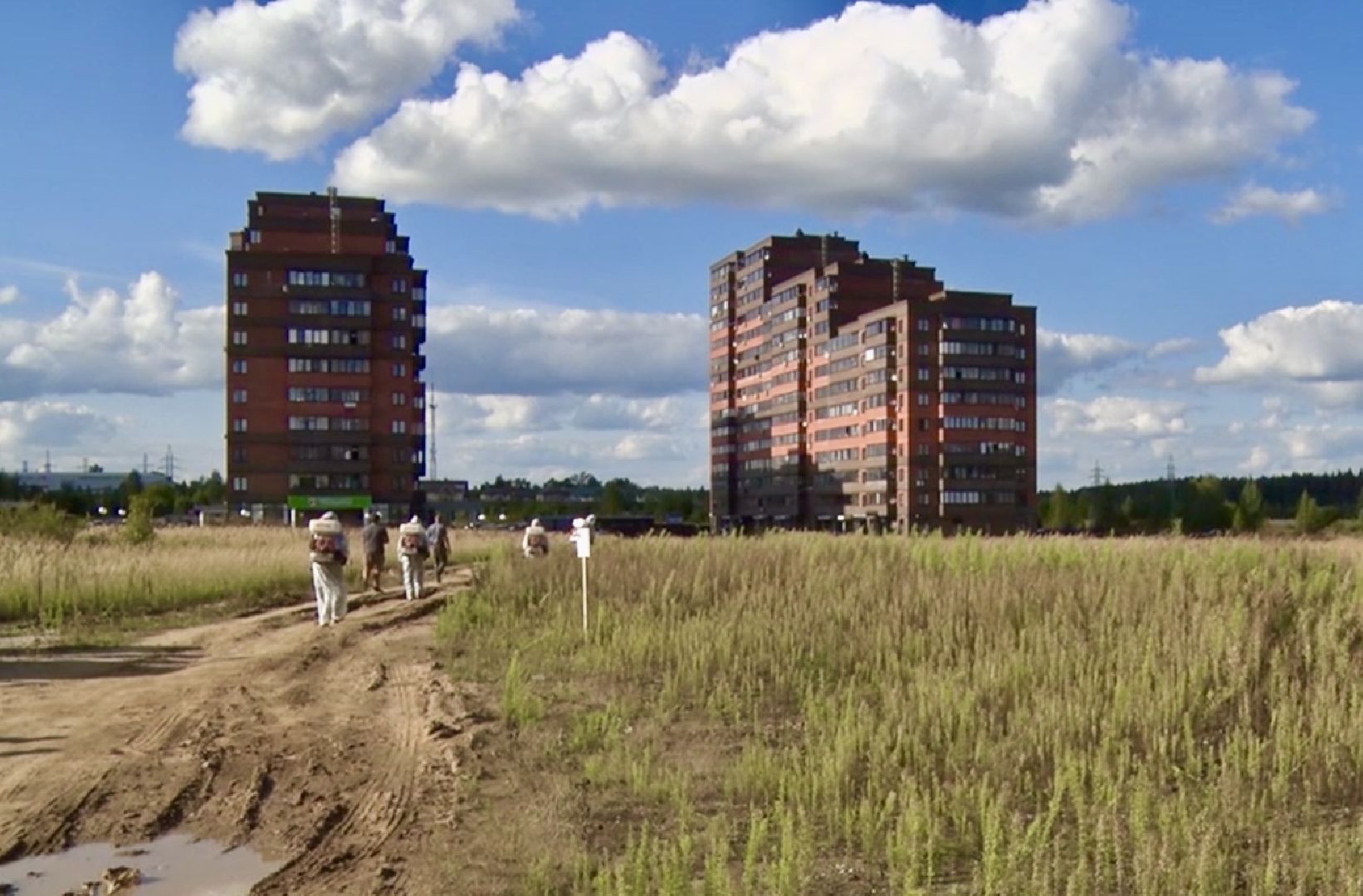 Клин, общество, борщевик, благоустройство