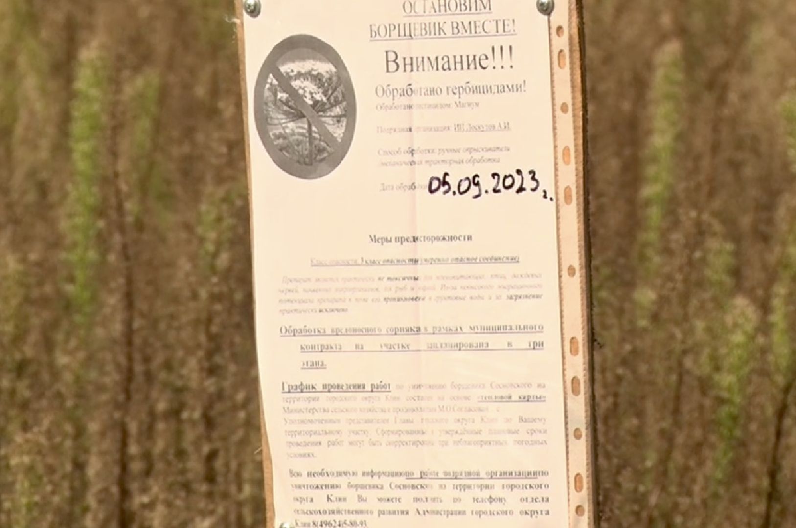 Клин, общество, борщевик, благоустройство