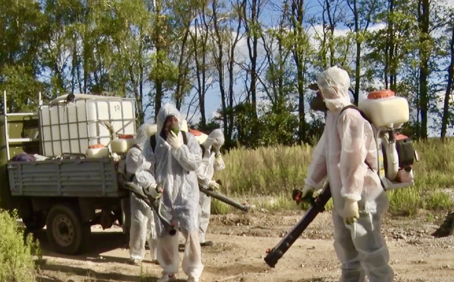 Клин, общество, борщевик, благоустройство