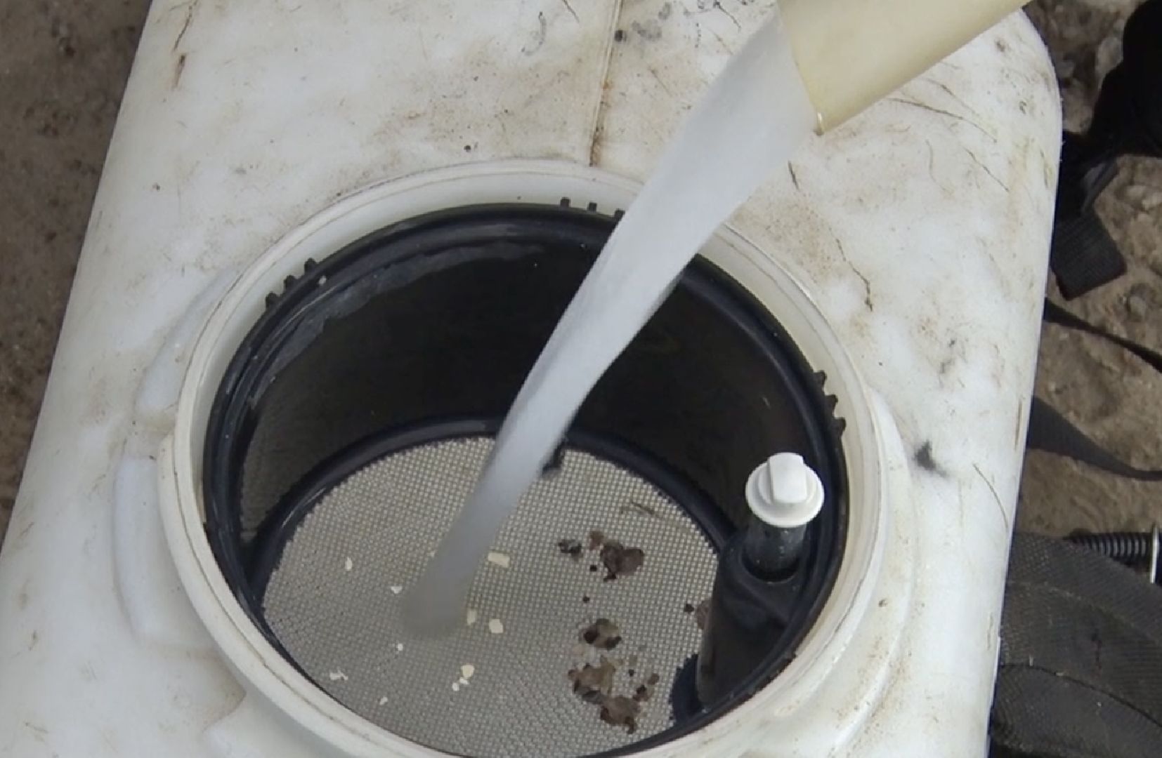 Клин, общество, борщевик, благоустройство