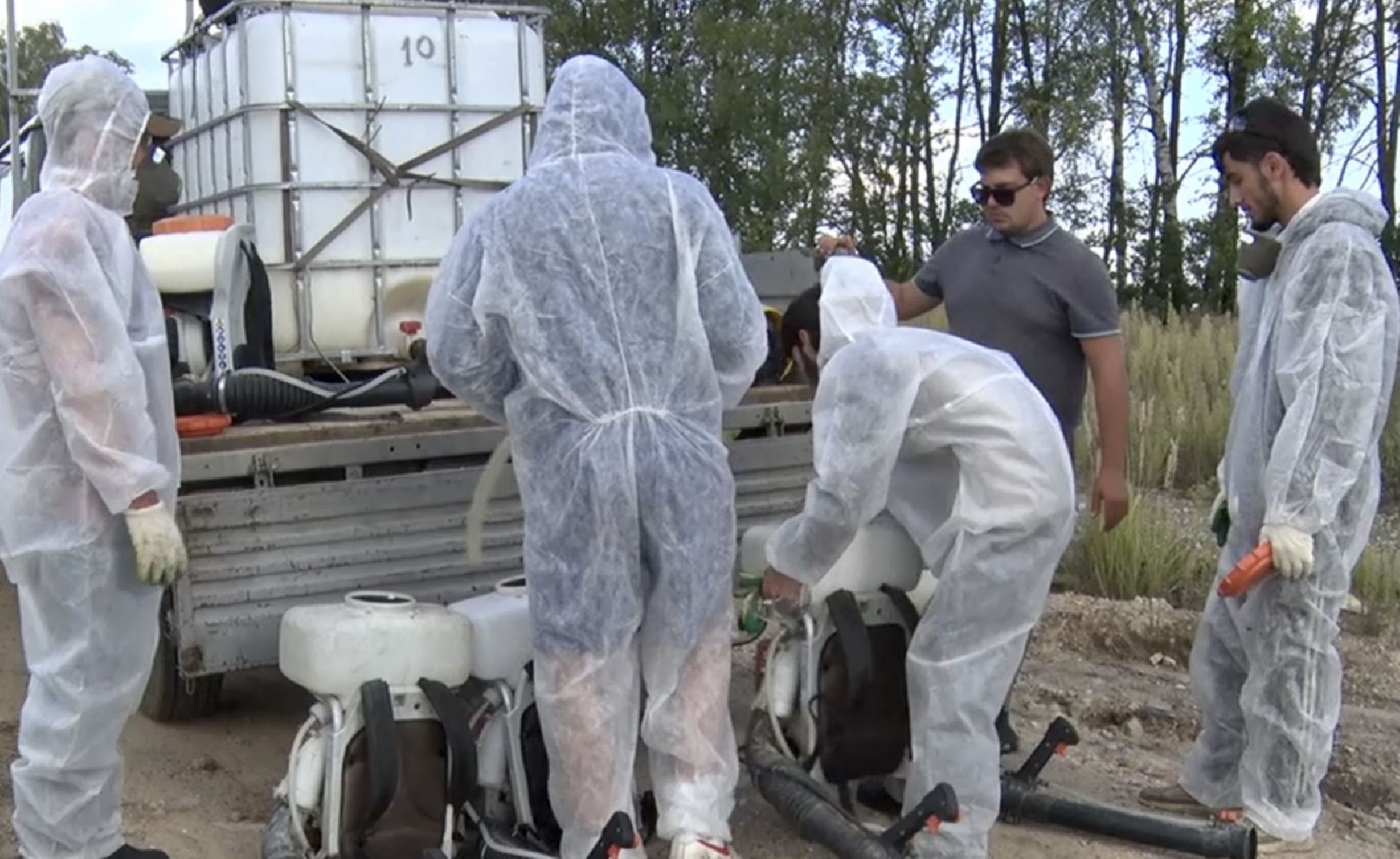 Клин, общество, борщевик, благоустройство