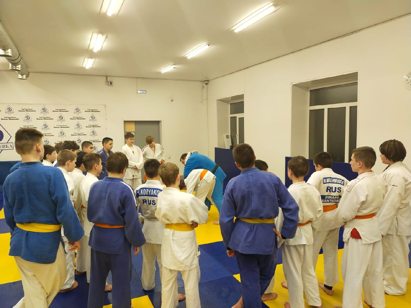 спорт, дзюдо, ивантеевка, победа,