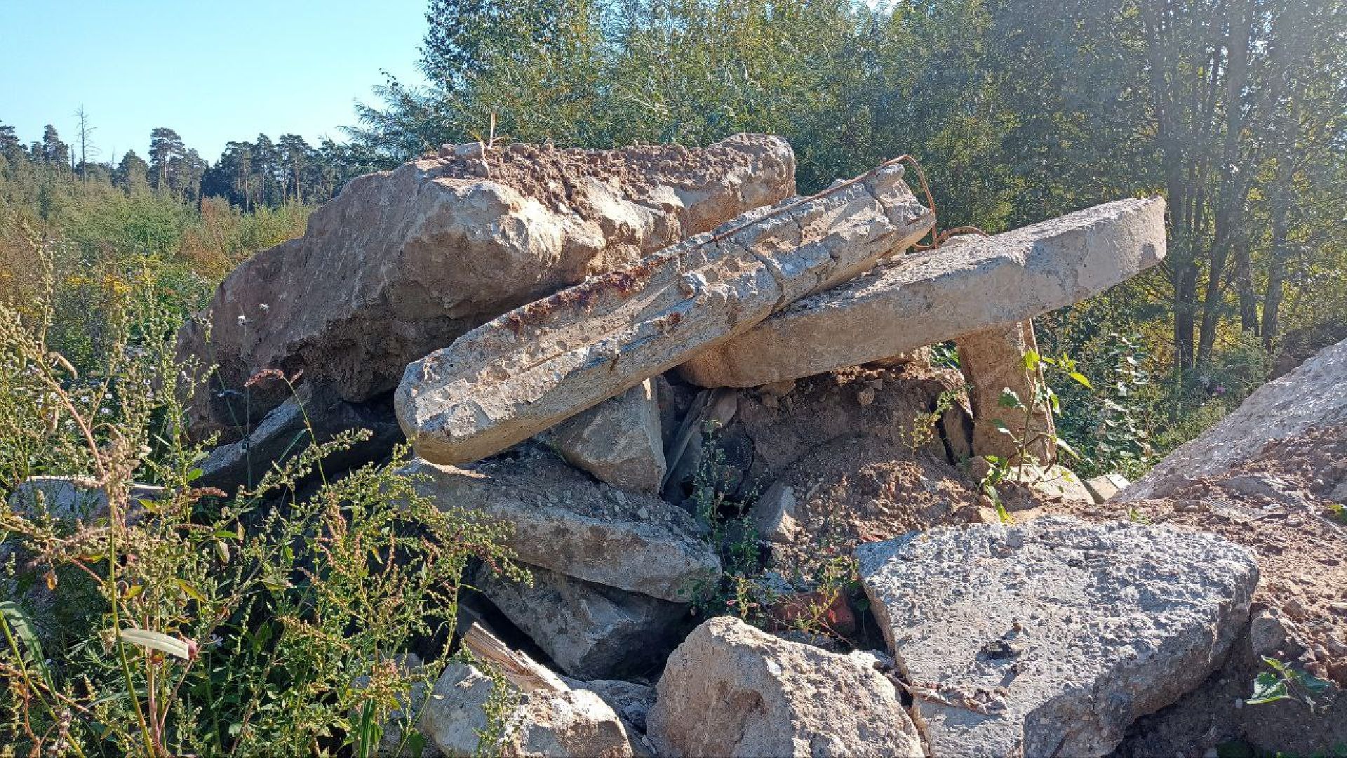 Балашиха, кладбище, озеро, сброс отходов, строительный мусор