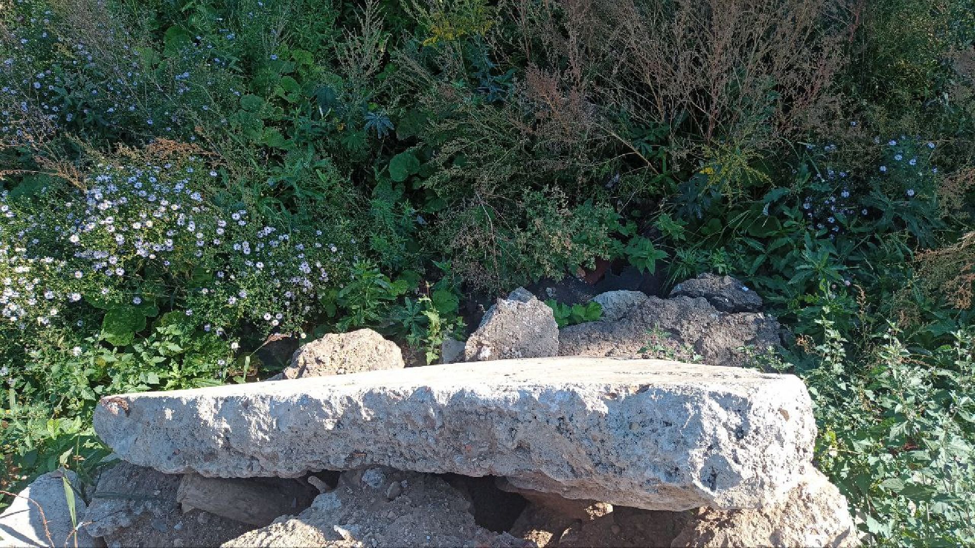 Балашиха, кладбище, озеро, сброс отходов, строительный мусор