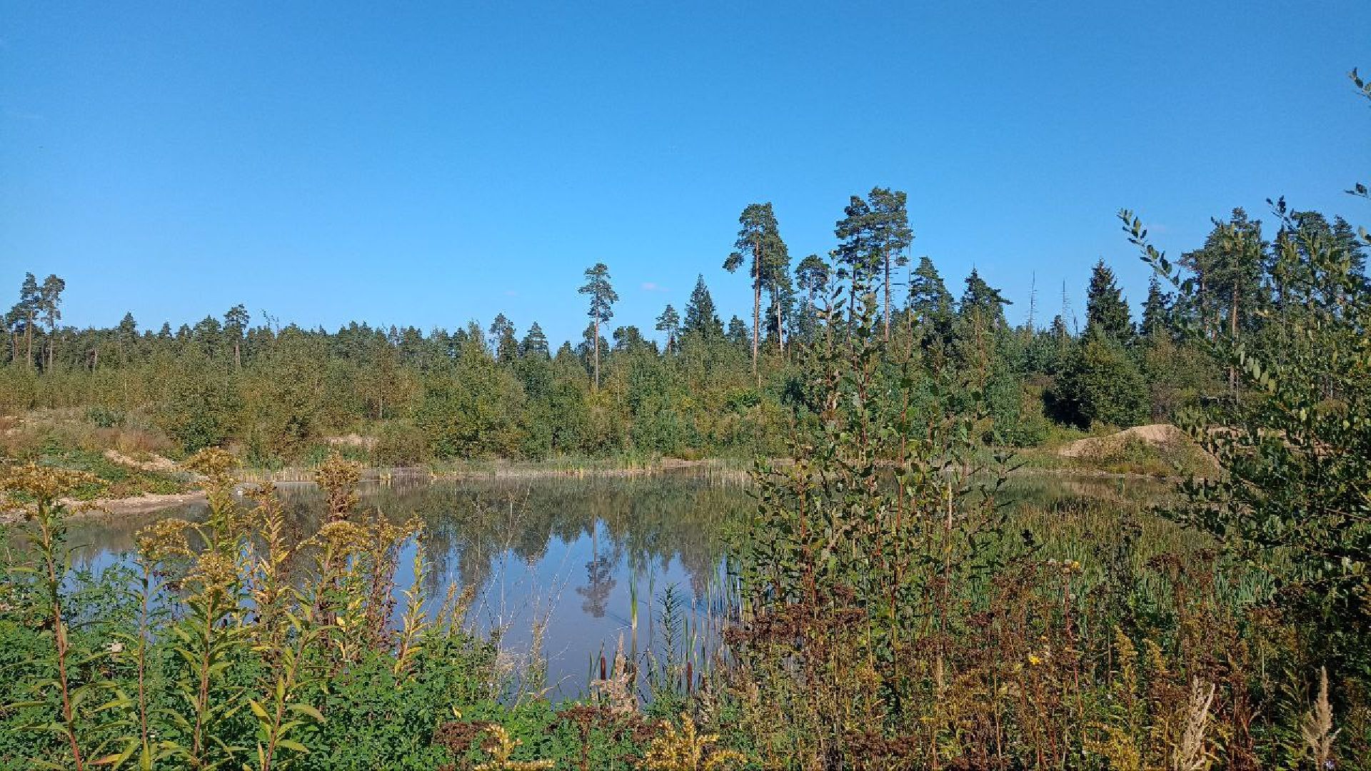 Балашиха, кладбище, озеро, сброс отходов, строительный мусор