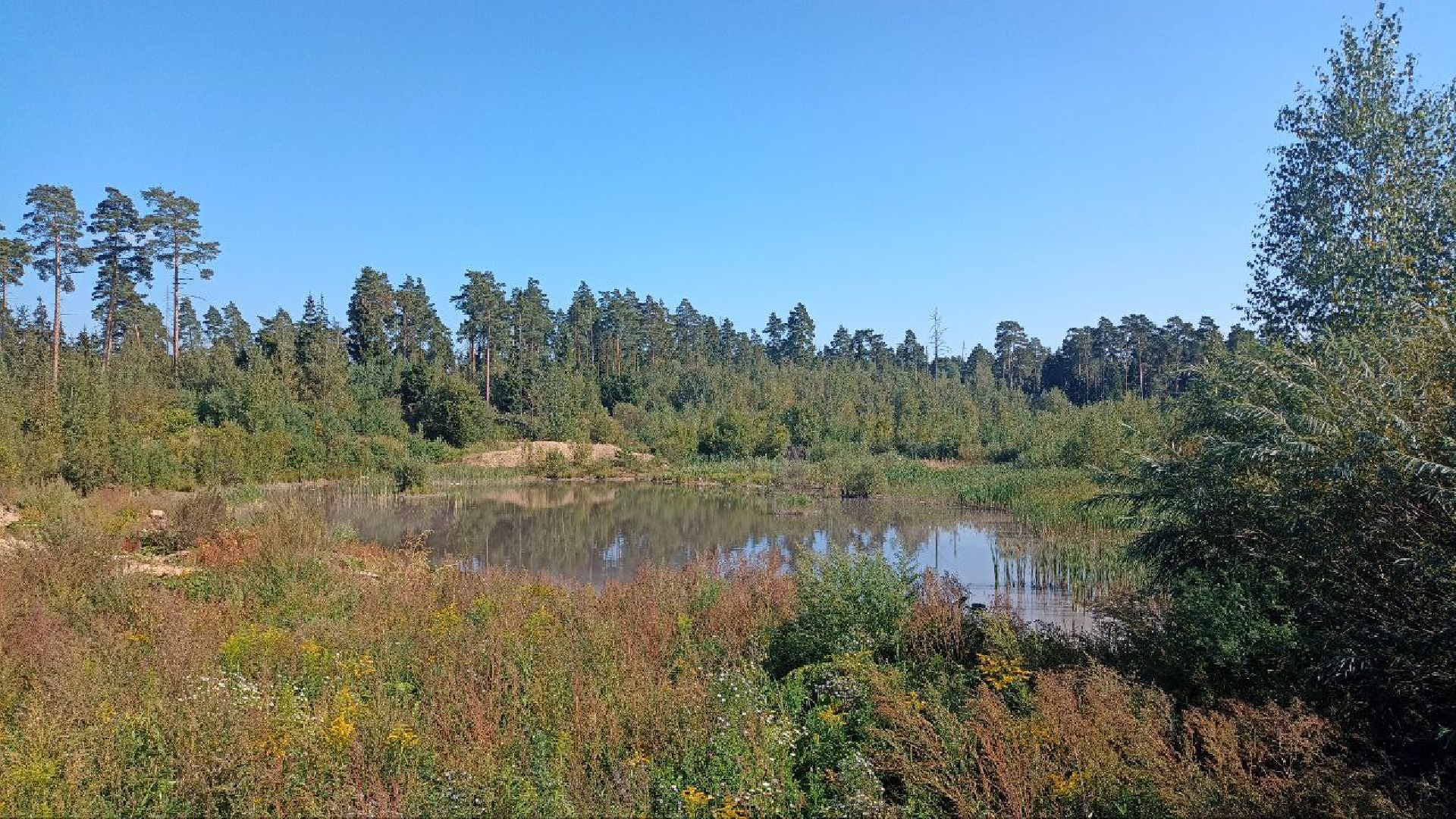 Балашиха, кладбище, озеро, сброс отходов, строительный мусор