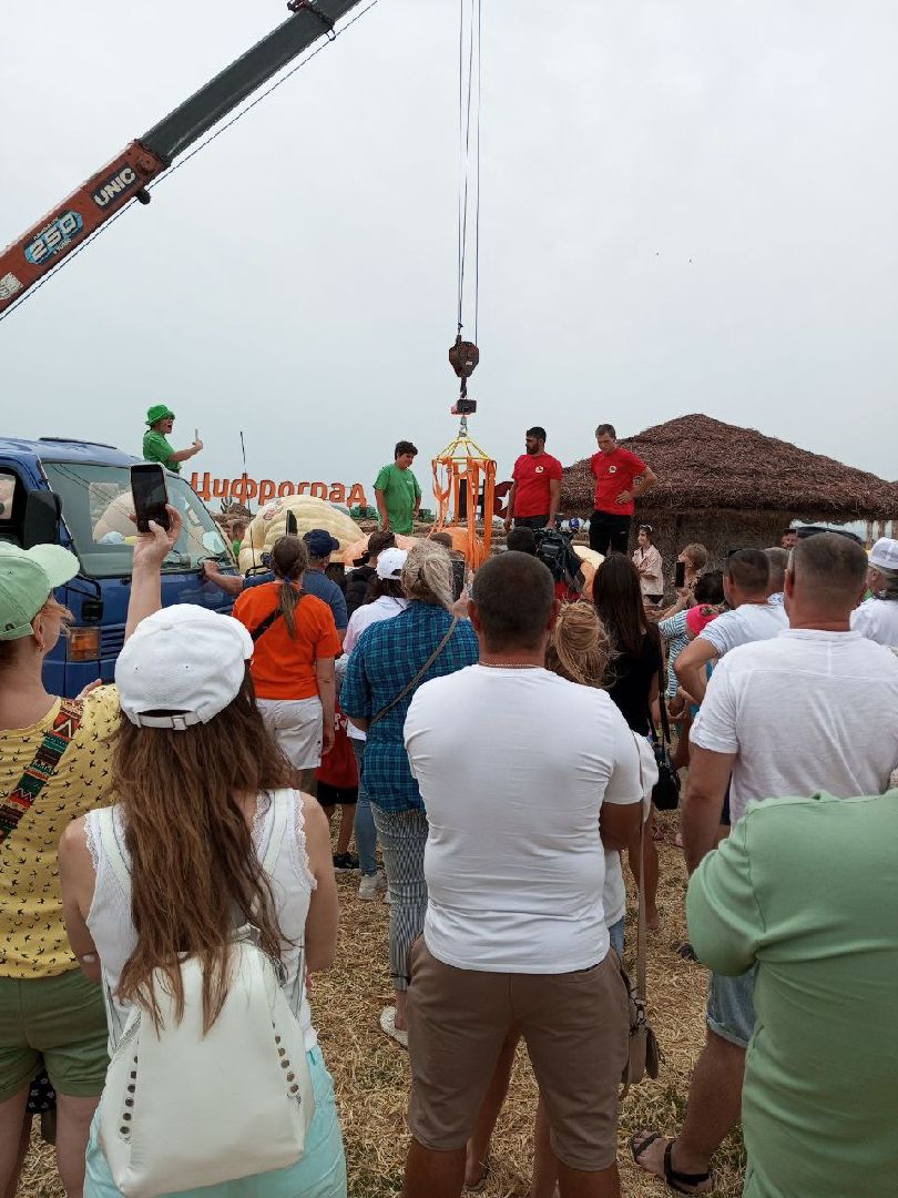 луховицы, тыква, сельское хозяйство