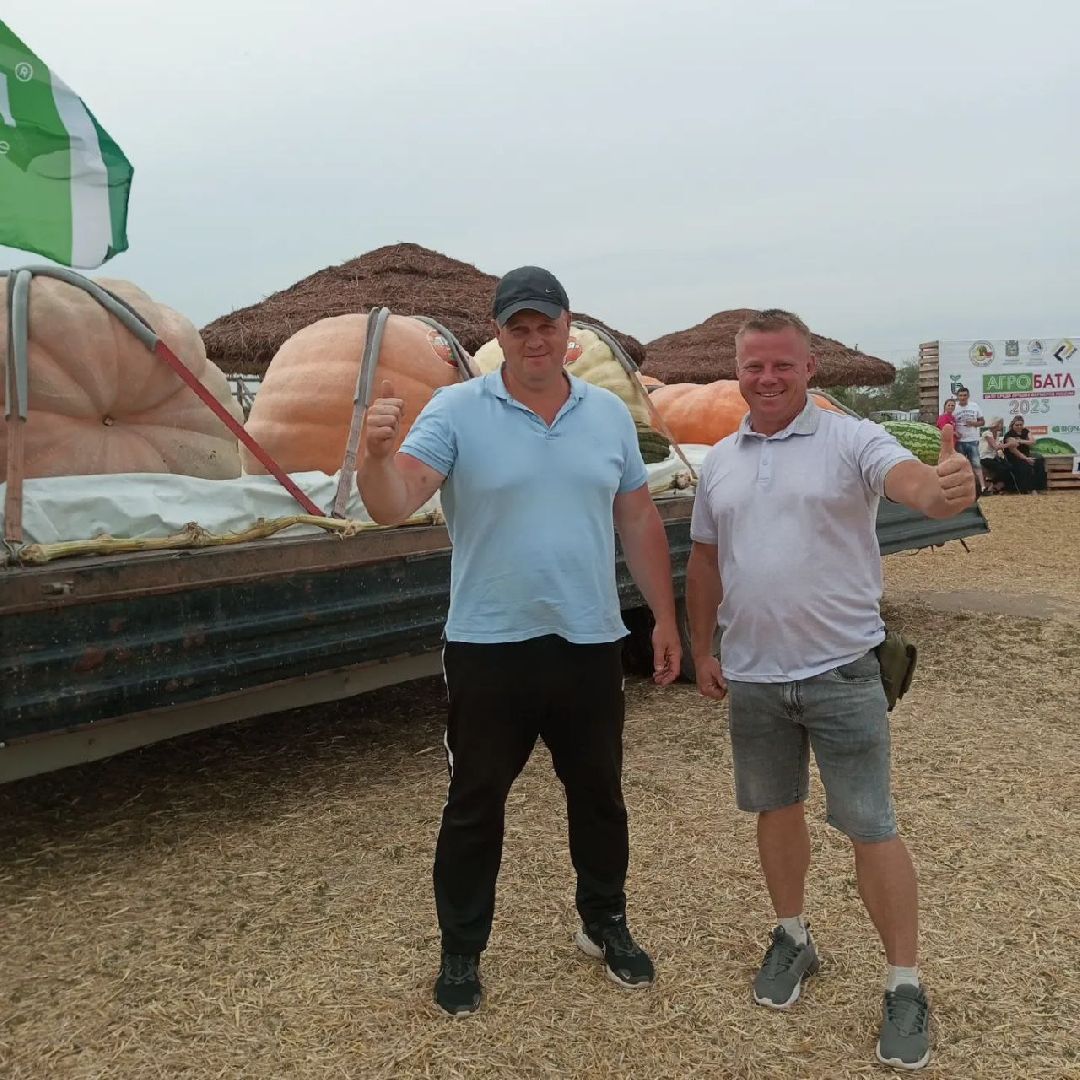 луховицы, тыква, сельское хозяйство