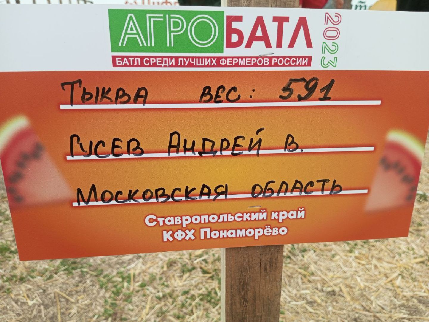 луховицы, тыква, сельское хозяйство