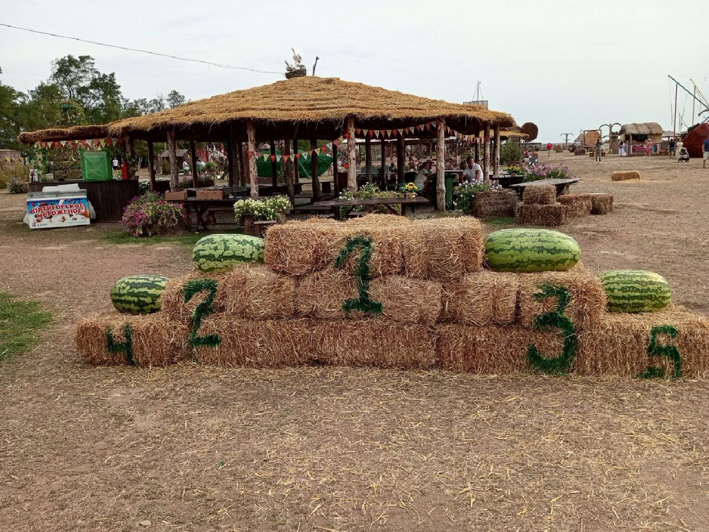 луховицы, тыква, сельское хозяйство