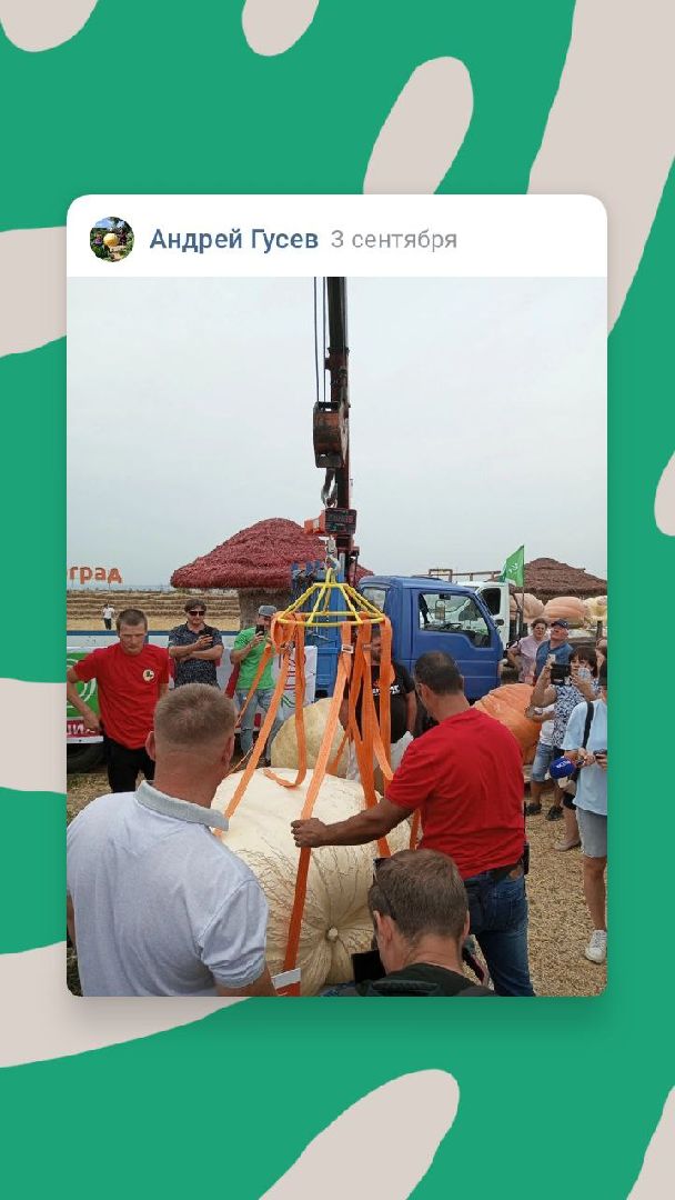 луховицы, тыква, сельское хозяйство