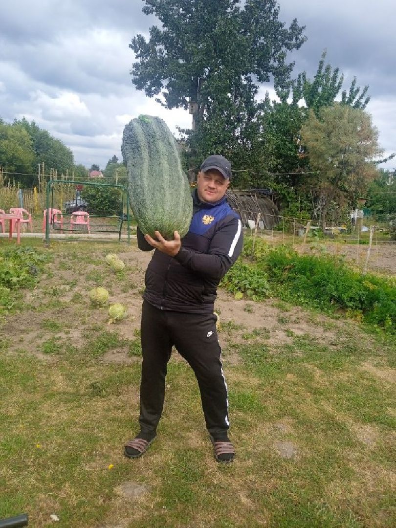 луховицы, тыква, сельское хозяйство