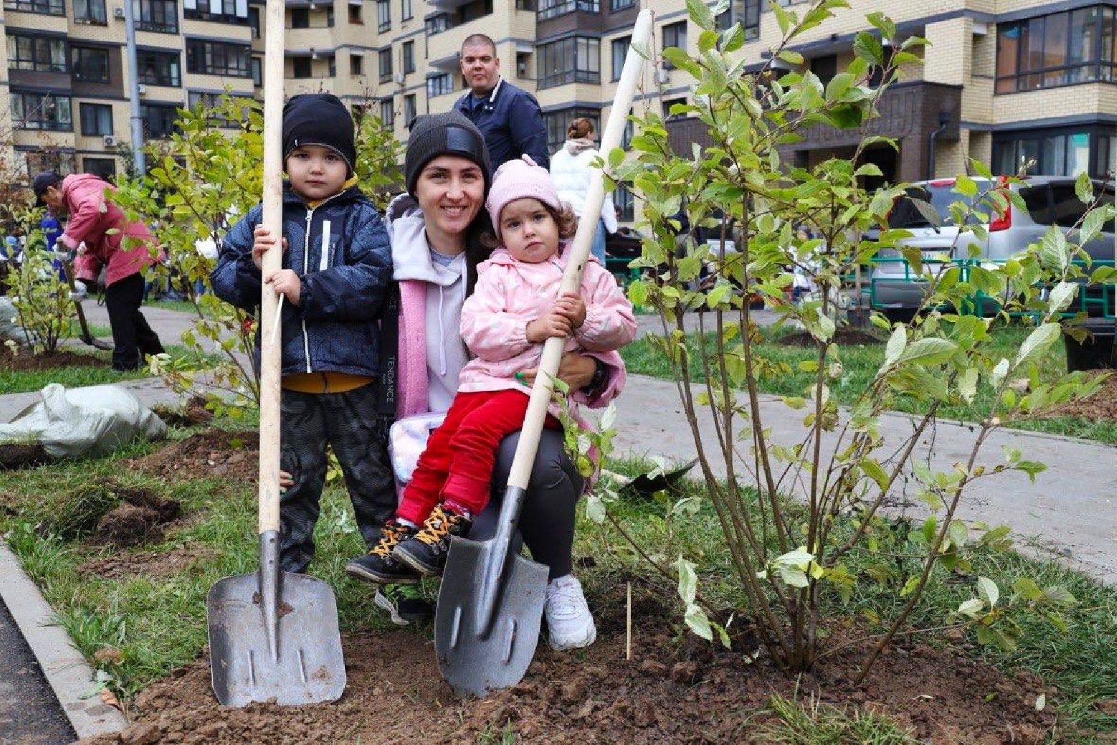 Наш лес, экология, Мытищи, 16 сентября