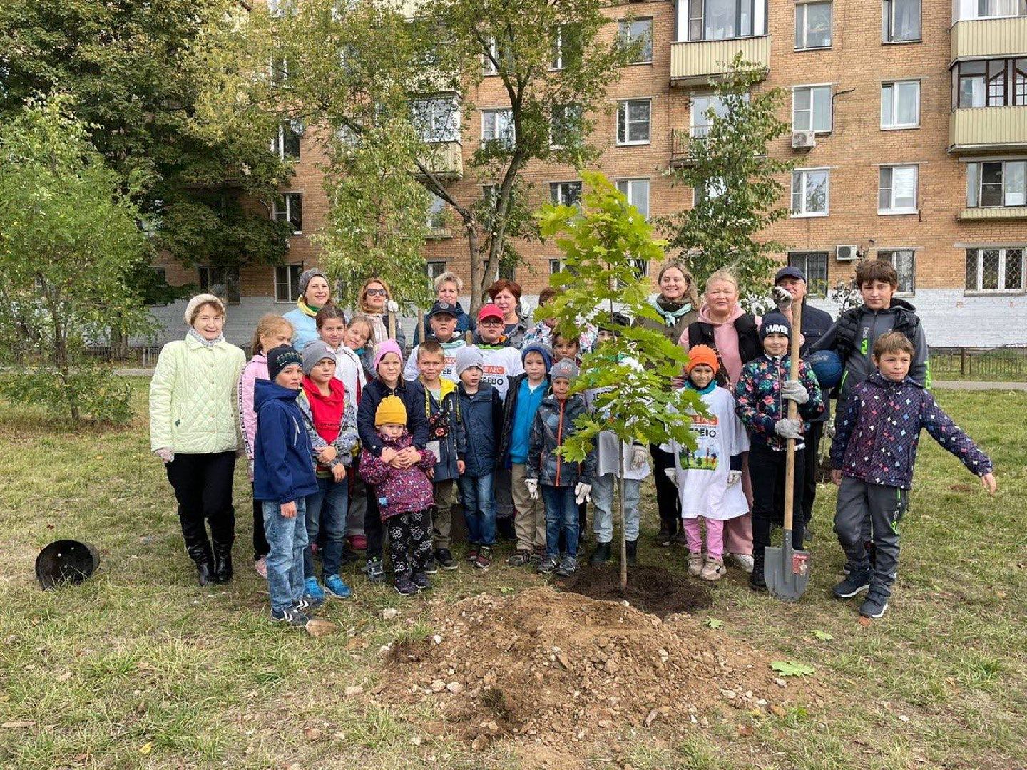 Наш лес, экология, Мытищи, 16 сентября