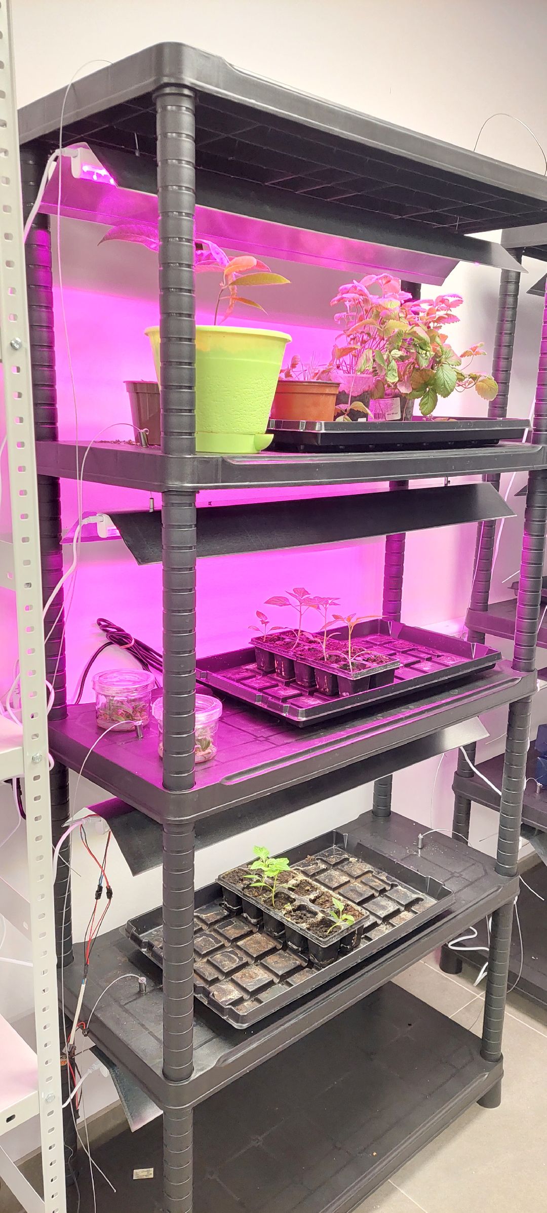 Пущино Города