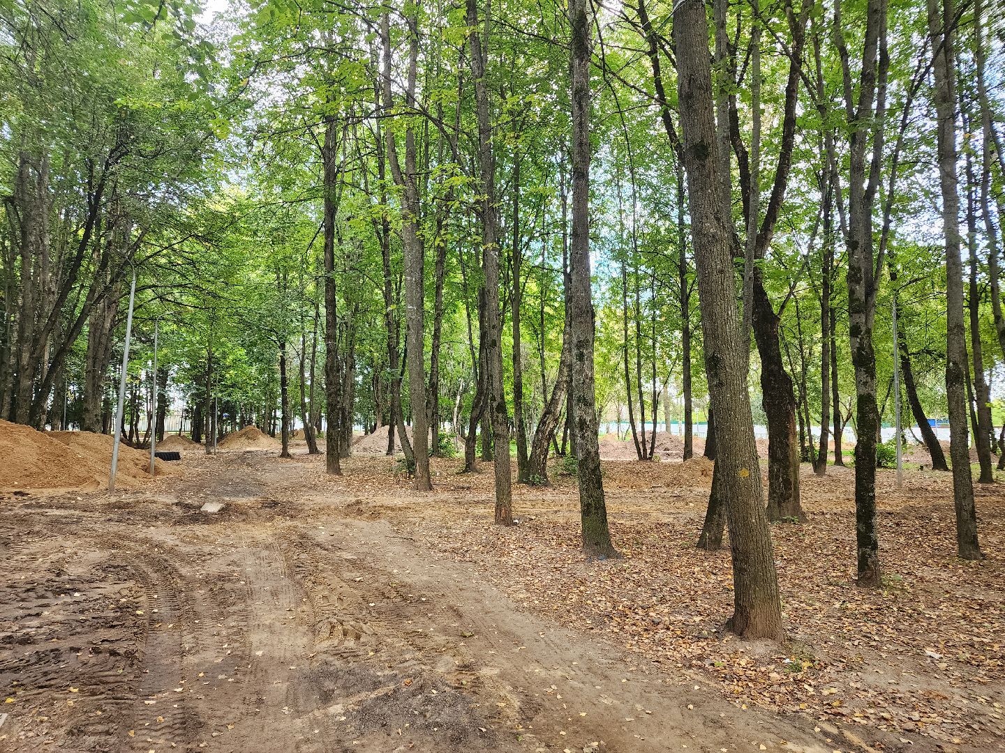 Балгоустройство, сквер, Дедовск