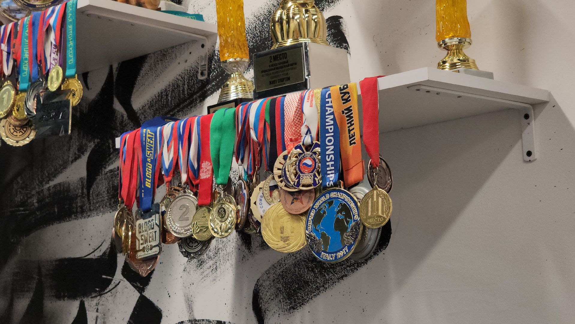 Спорт, ММА, единоборства, бокс, борьба, Пушкино, г.о. Пушкинский