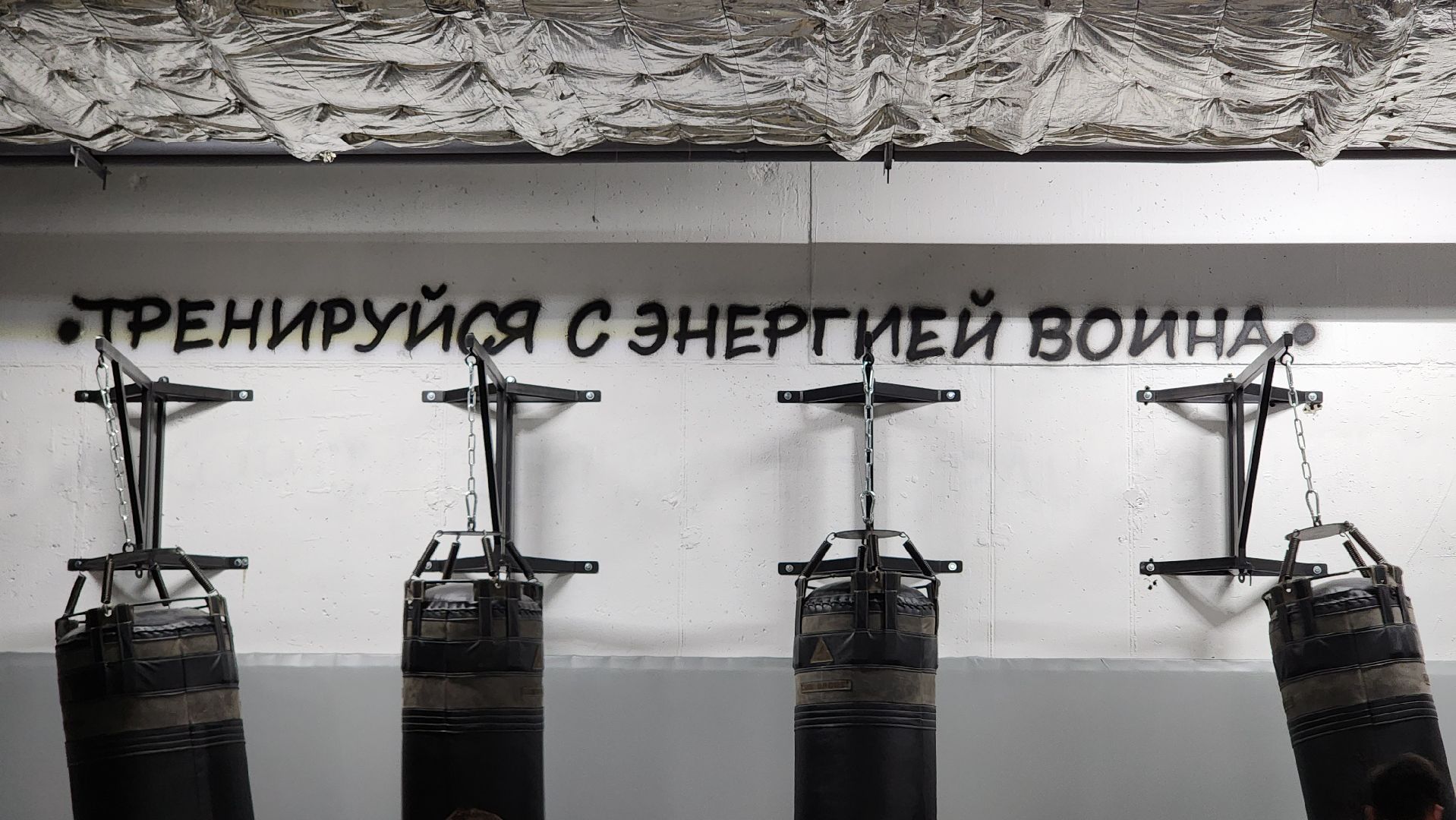 Спорт, ММА, единоборства, бокс, борьба, Пушкино, г.о. Пушкинский