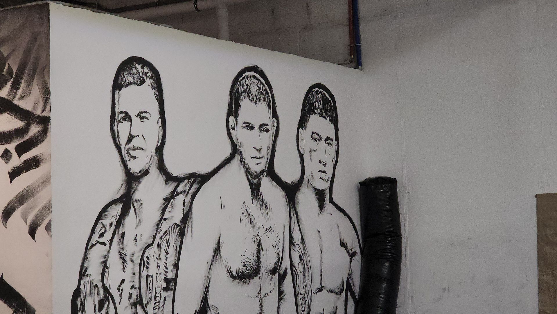 Спорт, ММА, единоборства, бокс, борьба, Пушкино, г.о. Пушкинский