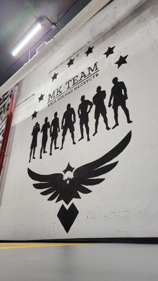 Спорт, ММА, единоборства, бокс, борьба, Пушкино, г.о. Пушкинский