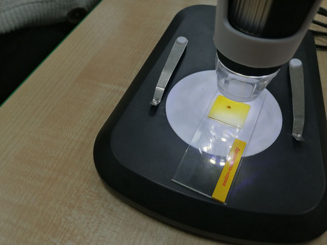 Протвино Образование