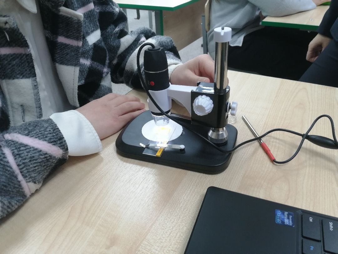 Протвино Образование